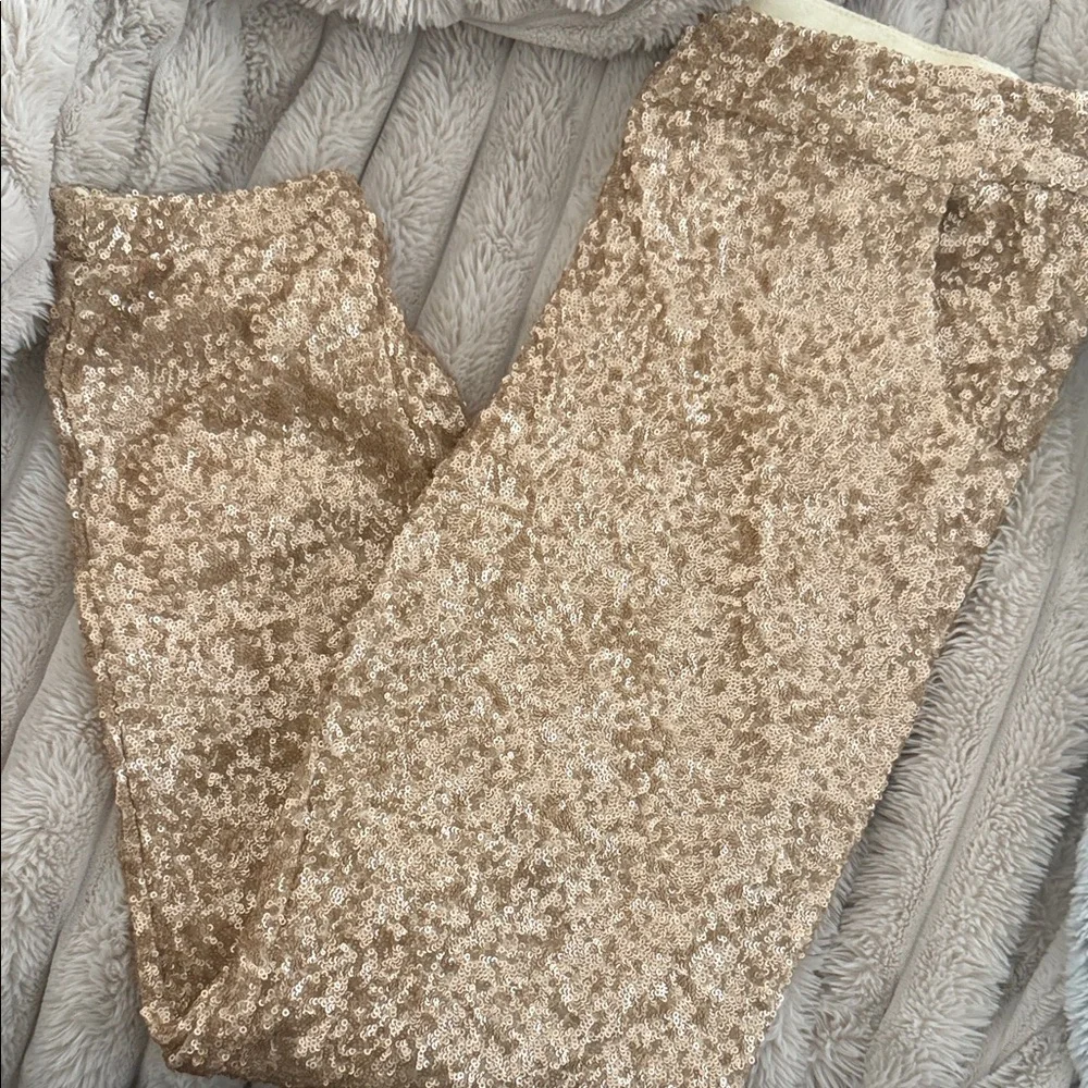 Free People Sequin Pants